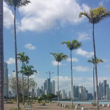 This is the beautiful waterfront park in Panama City. It’s such a great place…