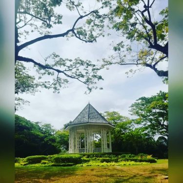 Singapore Botanic Gardens is without doubt the most amazing park I have ever been…