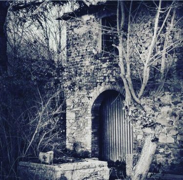 #fotartplgz #traveldestinations_ig #bnesimppl #valdichiana Edited with: @carbonblackandwhite _ #landscape #amazing #view #trip #tree #sky…