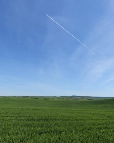 ‘Latin for ‘Land Beyond The Forest,’ where the Carpathian Mountains provide natural protection for…