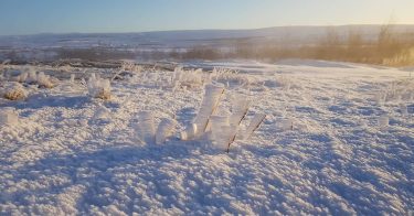 Frozen world #iceland???????? #iceland #goldencircle #geysir #ice #travelphotography #traveling #travelgram #travel #trip #voyage #sunlight…