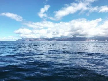 Rozhodně nejsilnější zážitek celé téhle cesty na Gran Canaria byla plavba lodí na delfíny.&hellip;