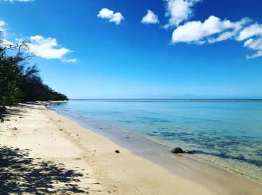 The beach is awfully calm today on the south side of Oahu. Times like…