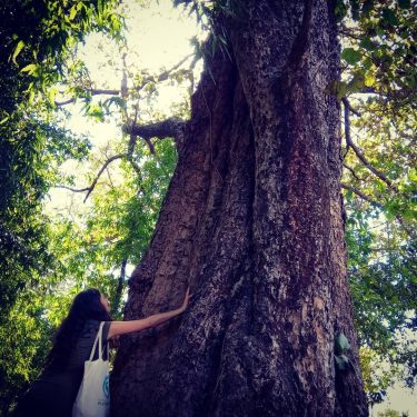 Coming back to boyhood Let’s go back to the road which were left behind,…