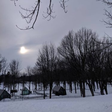 Winter Evening at Mont Royal! #montreal #montreality #montrealmoments #montreal_gallery #montrealcanada #canada #canada???????? #canada #winter…