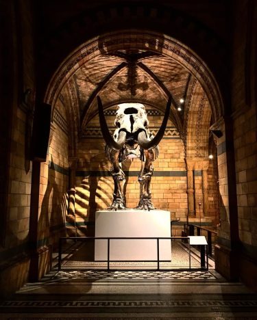 #england???????? #england #英國 #london #travel #backpackers #adventuretime #背包客 #igerslondon #iamtb #travelrepost #bnesimppl #londontravel #englandtravel&hellip;