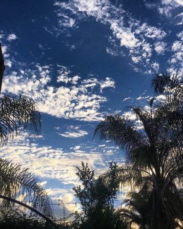 Northern California has my heart • • •