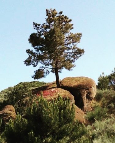 #potugal #naturephotography #travelvlog #travelers #szili_furgonnal_vlog #traveller #travelinsta #travelphoto #travelgram #travelblogger #travelphotography #trip #mytravelgram #igtravel…