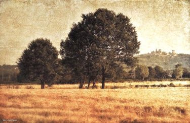 #fotartplgz #bnesimppl #traveldestinations_ig #valdichiana Edited with: @carbonblackandwhite _ #landscape #amazing #view #trip #tree #sky…