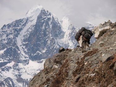Featuring @zuller78 ‘s adventure. “It is always hard to transport the food and all…