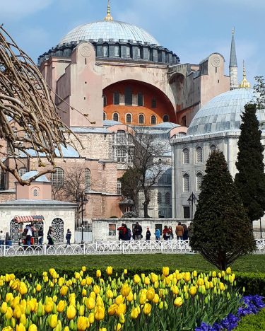 Hagia Sophia and Istanbul’s famous tulips. Did you you know that there is a…