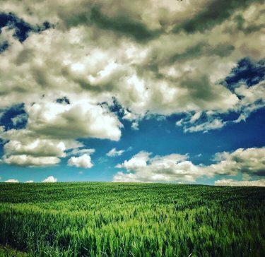 #fotartplgz #bnesimppl #traveldestinations_ig Edited with: @carbonblackandwhite _ #landscape #amazing #view #trip #tree #sky #mountains…