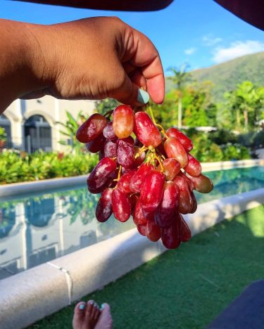 Large, Crispy and extremely sweet are these grapes. I’ve always found Queensland’s produce to…