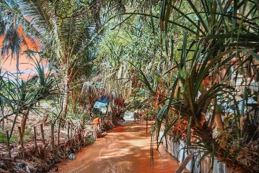 Fairy Stream is a photography hotspot in Phan Thiet and Mui Ne due to…