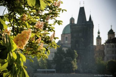 #wonderful_prague #europestyle_czechrepublic #toppraguephoto #kings_hdr #visitcz # #canonczsk #discovery_earthpix #discovery #topeuropephoto #citybestpics #travelmore #naturelsapparel #europe_gallery…