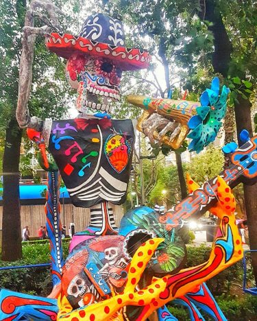 Mariachi #demochilazo #vive_mexico #mexico_maravilloso #lovesmexico #mexicodesconocido #pasionxmexico #instamexicanos #mexicoamazing #travel #travelvlogger #travelpics #beatifuldestinations #wonderful_places…
