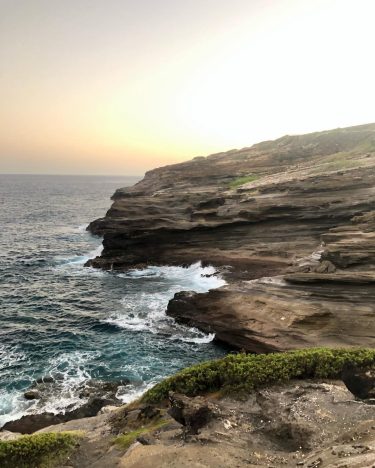 No filter Friday for this shot I just took maybe 10 minuets ago. ️️️