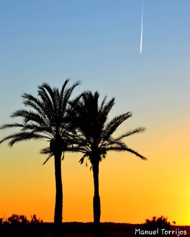 #elpratdellobregat #barcelona #fotourbana #fotografia #fotografia #foto #nikon #nikonistas #nikonistas_catalunya #nikon #nikonistas_spain #nikond3100 #barcelonamola #barcelonaphoto…
