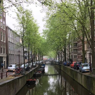 Spring in Amsterdam. . . . . . . #openmyworld #travellifedailypic #travelzoo #travelblogger #travelgram…