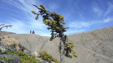 Cerro los hornos. . . . #tracking #santacruz #riolaleona #loshornos #caminata #patagonia #2019 #instagram&hellip;