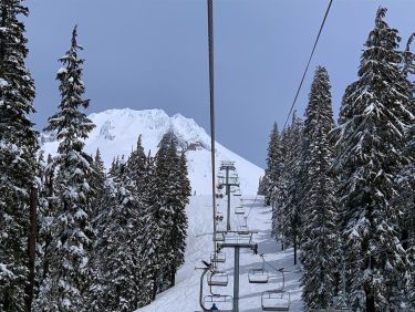 The weeping old man’s beard that covers the trees, the smell of spring in&hellip;