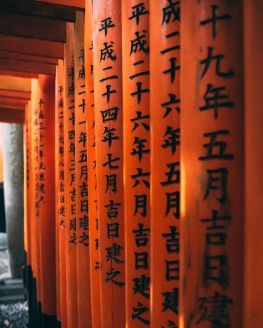 The must have shot in japan