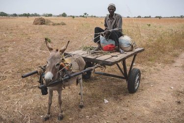 This week is all about daily life in the Gambia, starting of with…