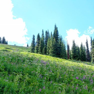 Summer is coming! We are planning some cool hikes here in British Columbia. What…