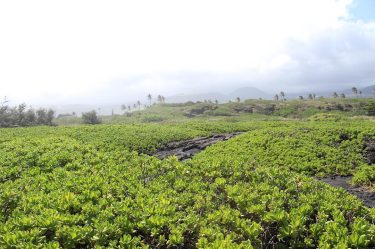 Some of the places I am lucky enough to travel to are nothing like&hellip;