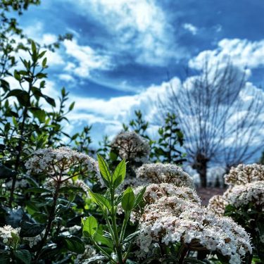 #fotartplgz #bnesimppl #traveldestinations_ig Edited with: @carbonblackandwhite _ #weather #skylovers #natureporn #amazing #skypainters #gf_daily #light…