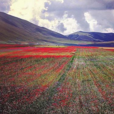 #fotartplgz #bnesimppl #traveldestinations_ig Edited with: @carbonblackandwhite _ #landscape #amazing #view #trip #tree #sky #mountains&hellip;