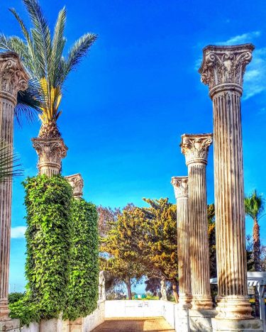#myamazingcyprus #island #mediterranean #travel #holiday #sunset #cyprus2019 #ayianapa2019 #palms #instagood #goodlife #summer # #traveling…