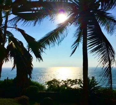Kovalam beach in India Płaża Kovalam w Indiach #india #indiabeach #indie #plaża #palmy #palms…