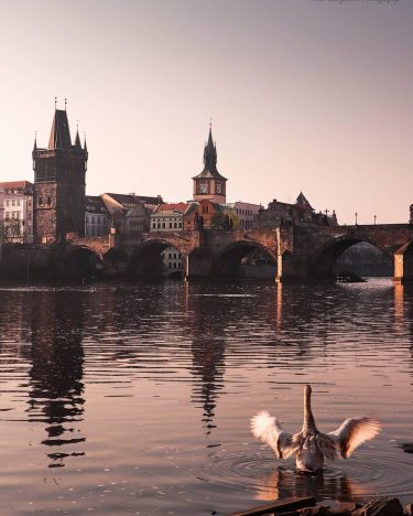 #wonderful_prague #europestyle_czechrepublic #toppraguephoto #kings_hdr #visitcz # #canonczsk #discovery_earthpix #discovery #topeuropephoto #citybestpics #travelmore #naturelsapparel #europe_gallery&hellip;