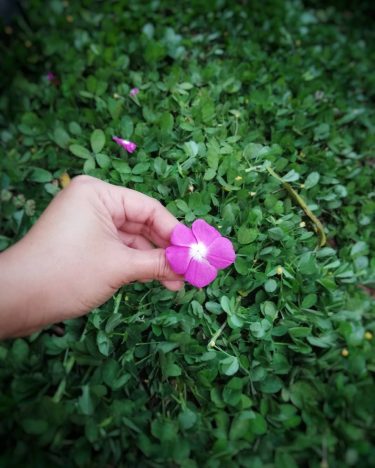 Haz las pequeñas cosas con gran amor . . . #love #nature #lovenature #hapinnes…