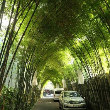 #tamarindvillage #chiangmai * * * #travelphotography #wanderlust #travelersnotebook #traveller #traveler #travelingram #traveltheworld #travels #traveladdict&hellip;