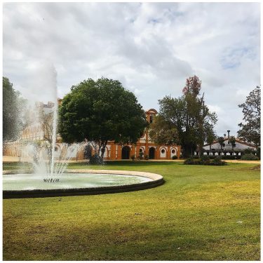 ˢᴾᴬᴺᴵᴱᴺ ↠⠀⠀⠀⠀ ↠ ᴶᴱᴿᴱᶻ ᴰᴱ ᴸᴬ ᶠᴼᴺᵀᴱᴿᴬ .⠀ .⠀ Real Escuela Andaluza del Arte&hellip;