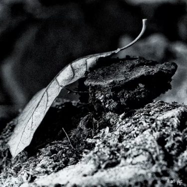 #fotartplgz #bnesimppl #traveldestinations_ig Edited with: @carbonblackandwhite _ #weather #skylovers #natureporn #amazing #skypainters #gf_daily #light&hellip;