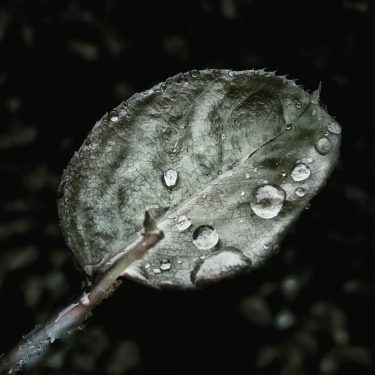 #fotartplgz #bnesimppl #traveldestinations_ig Edited with: @carbonblackandwhite _ #weather #skylovers #natureporn #amazing #skypainters #gf_daily #light&hellip;