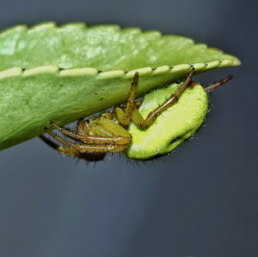 #fotartplgz #bnesimppl #traveldestinations_ig Edited with: @carbonblackandwhite _ #weather #skylovers #natureporn #amazing #skypainters #gf_daily #light&hellip;