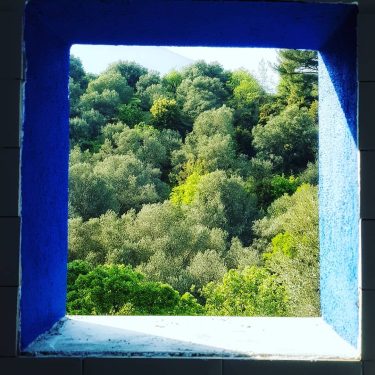 WC Manzarası???? #beautifulhotels #travelblogger #travel #travelrepost #explore #datça #datca #airbnb #beautifuldestinations #worderlust #amazingdestination #wonderful_places&hellip;