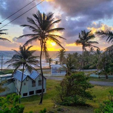 ???????? @barbados island *⋆ ‍️O????????’???? ???????????????????????????????????????? ???????? ???????????????????? ???? ????????????????????, ???????????? ???? ???????????? ????????????…