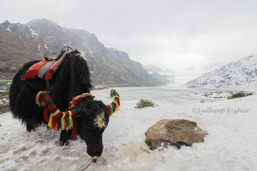 “Tsomgo – The lake has many stories to tell” . . The frozen lake&hellip;