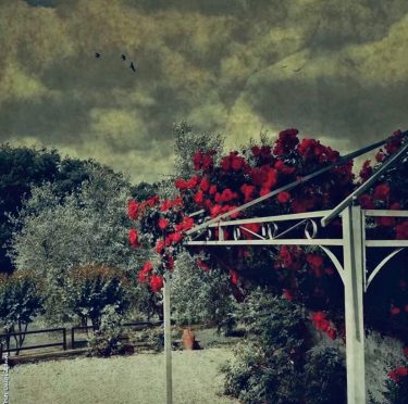 #fotartplgz #bnesimppl #traveldestinations_ig Edited with: @carbonblackandwhite _ #weather #skylovers #natureporn #amazing #skypainters #gf_daily #light&hellip;