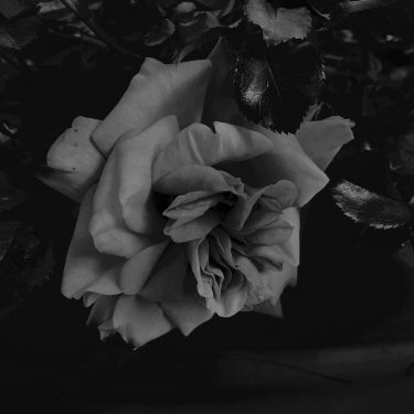 #fotartplgz #bnesimppl #traveldestinations_ig Edited with: @carbonblackandwhite _ #weather #skylovers #natureporn #amazing #skypainters #gf_daily #light&hellip;