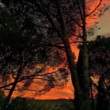 #fotartplgz #bnesimppl #traveldestinations_ig Edited with: @carbonblackandwhite _ #weather #skylovers #natureporn #amazing #skypainters #gf_daily #light…
