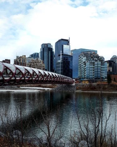 Check out downtown Calgary! . . . . . . #openmyworld #meanwhileincanada #meanwhileinalberta #travelblogger…