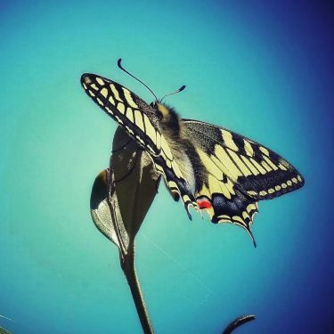 #fotartplgz #bnesimppl #traveldestinations_ig Edited with: @carbonblackandwhite _ #weather #skylovers #natureporn #amazing #skypainters #gf_daily #light&hellip;