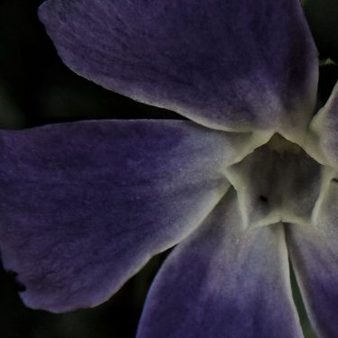 #fotartplgz #bnesimppl #traveldestinations_ig #dettaglidellanatura Edited with: @carbonblackandwhite _ #weather #skylovers #natureporn #amazing #skypainters #gf_daily&hellip;