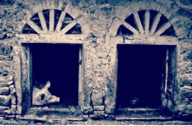 #fotartplgz #bnesimppl #traveldestinations_ig Edited with: @carbonblackandwhite _ #photo #photos #nikon #pics #picture #pictures #snapshot…